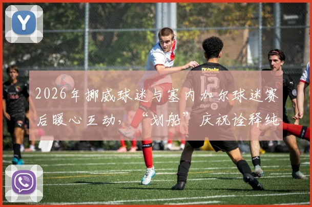 2026年挪威球迷与塞内加尔球迷赛后暖心互动，“划船”庆祝诠释纯粹体育精神