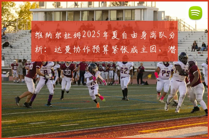 维纳尔杜姆2025年夏自由身离队分析:达曼协作预算紧张成主因,潜在下家展望